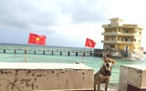 Những người bạn thủy chung của lính đảo ở Trường Sa